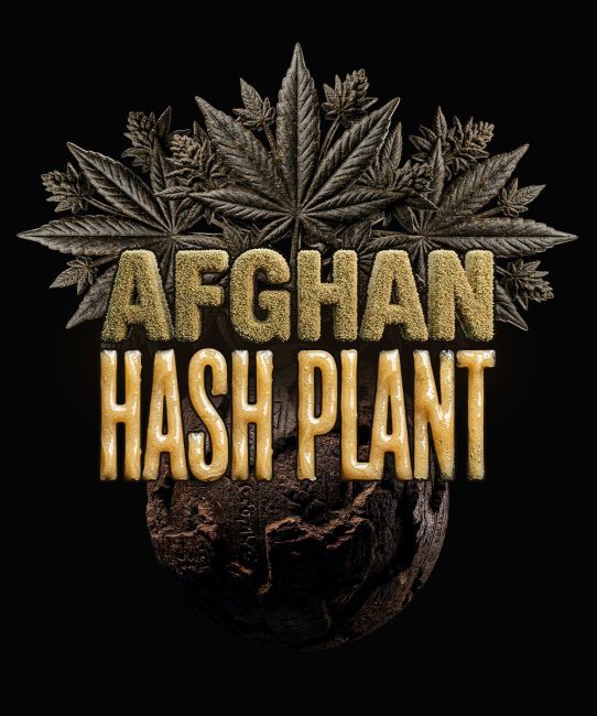 Gold letters over pot plant background