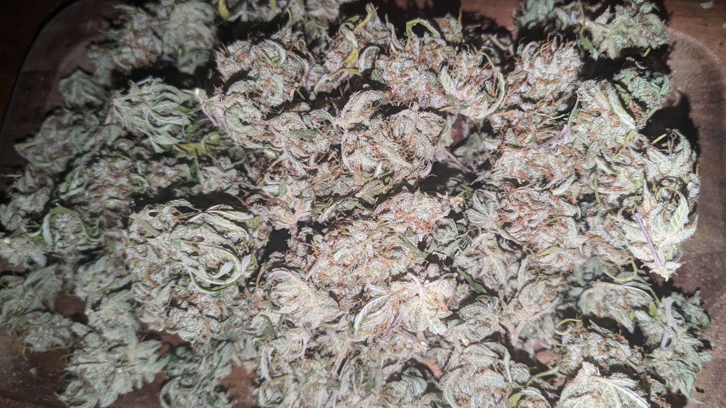 Close up of a pile of dried green buds with orange pistil hairs covered in sparkling trichomes.