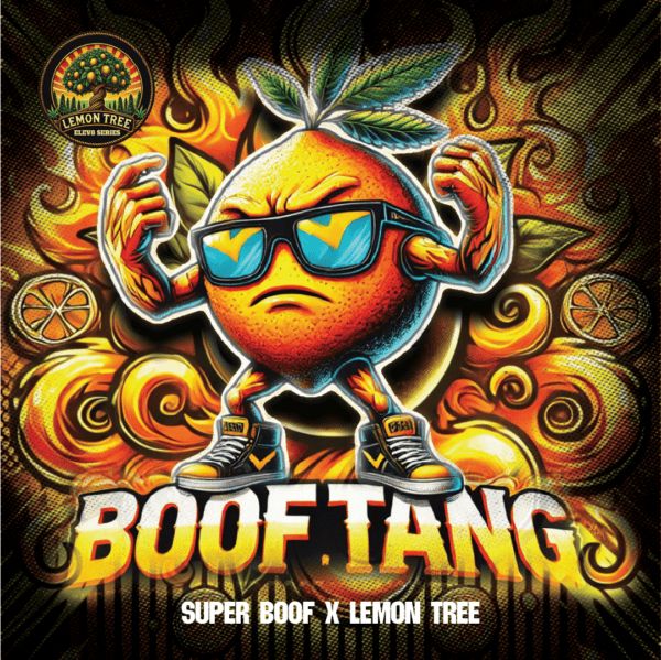 Illustration of a cartoon orange character with sunglasses and the text 'Boof Tang' on a colorful background.