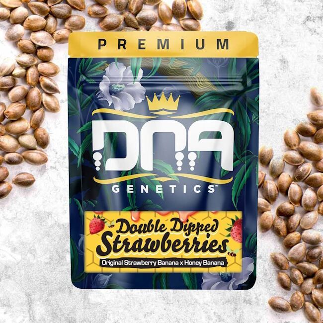 DNA Genetics Double Dipped Strawberries seed packet with seeds on a textured surface