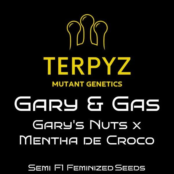 Terpyz Mutant Genetics logo with product names on a black background