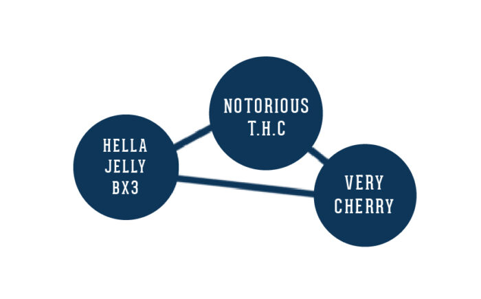 Diagram with three blue circles labeled 'Hella Jelly BX3', 'Notorious T.H.