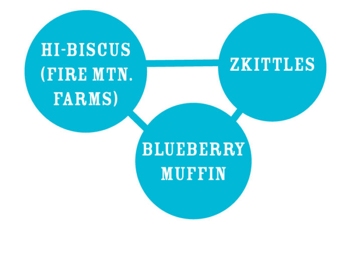 Three blue circles with text linking 'Hi-Biscus (Fire Mtn. Farms)', 'Zkittles', and 'Blueberry Muffin'.
