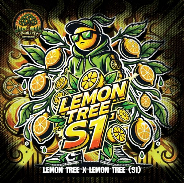Lemon Tree S1 - Elev8 Seeds