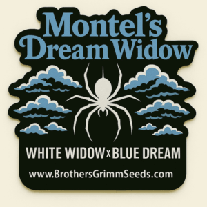 Sticker with 'Montel's Dream Widow' design featuring a spider and clouds, with text about Brothers Grimm Seeds.