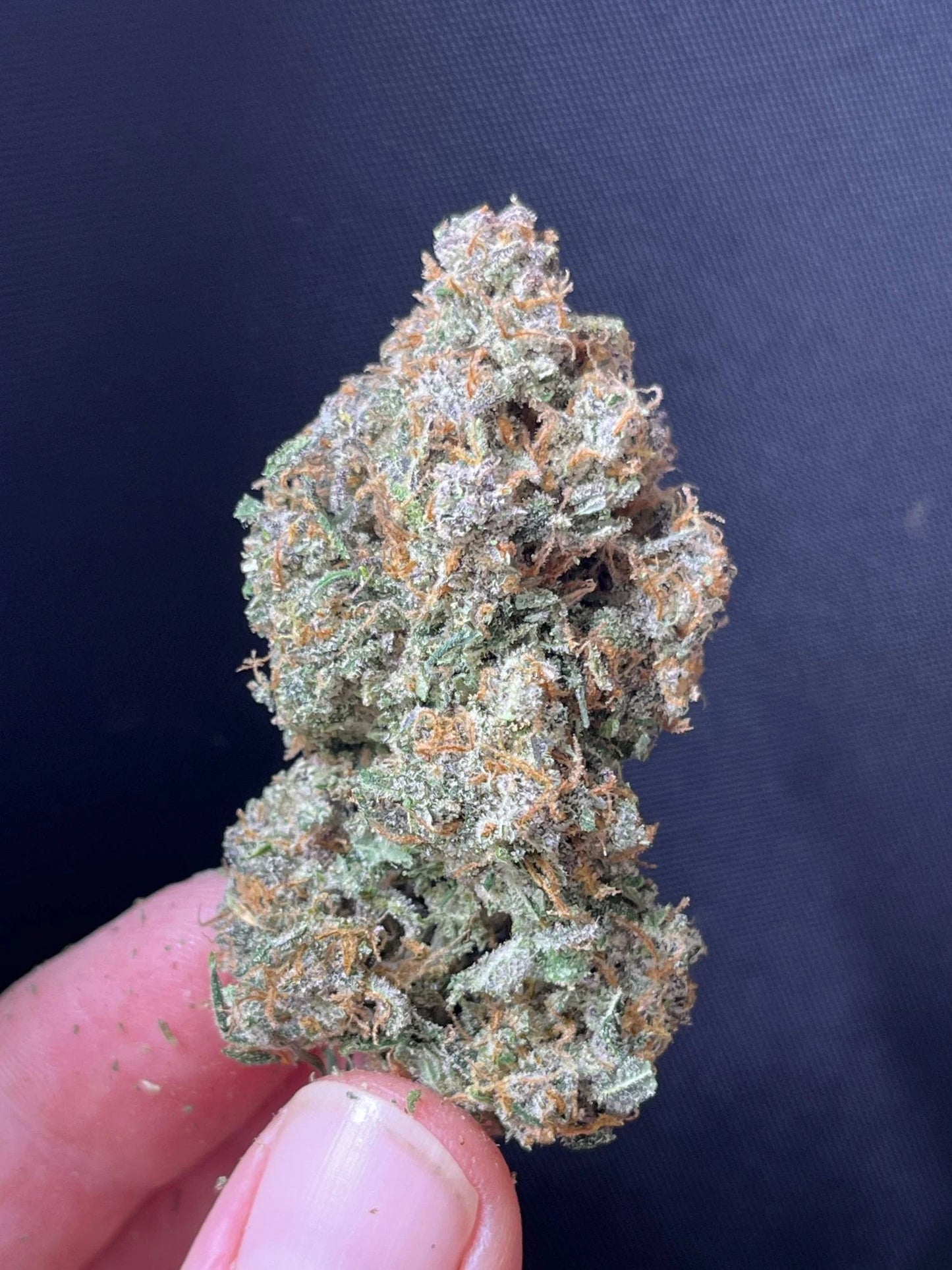 Sour Jealousy Auto™ - Fast Buds