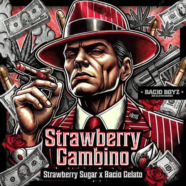 Illustration of a character in a red hat with money, guns, and roses, labeled 'Strawberry Gambino'.