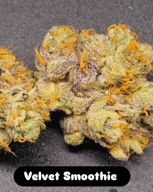 Close-up of cannabis buds labeled 'Velvet Smoothie' on a dark background