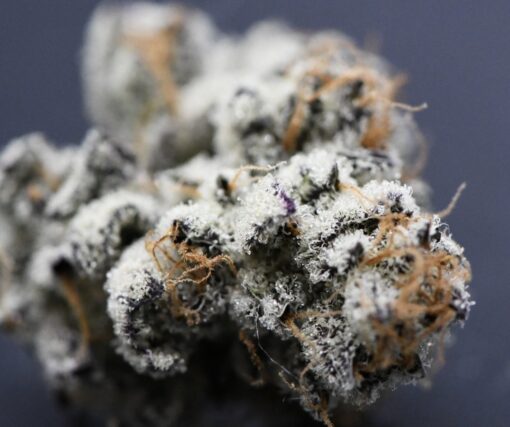 White Truffles - BeLeaf Seeds