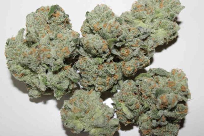 ZaZa Skunk - Purple Caper Seeds