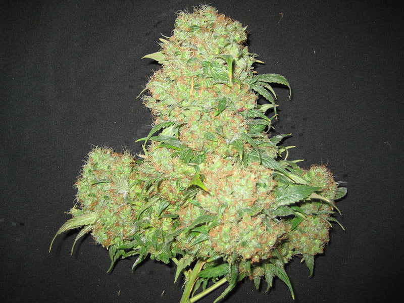 Photo of a giant top cola cluster.