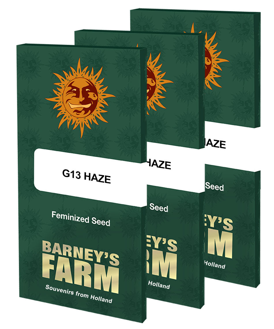 G13 Haze Feminized - Barney's Farm