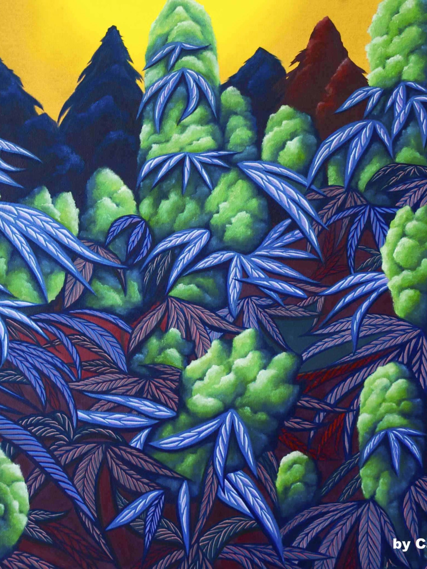 Flying Carpet - Breedlove Genetics