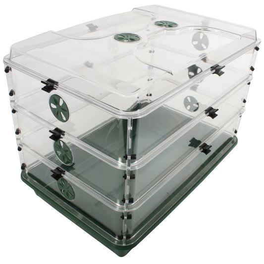 A clear acrylic multi-level terrarium with a dark green base and green ventilation holes, shown on a plain white background.