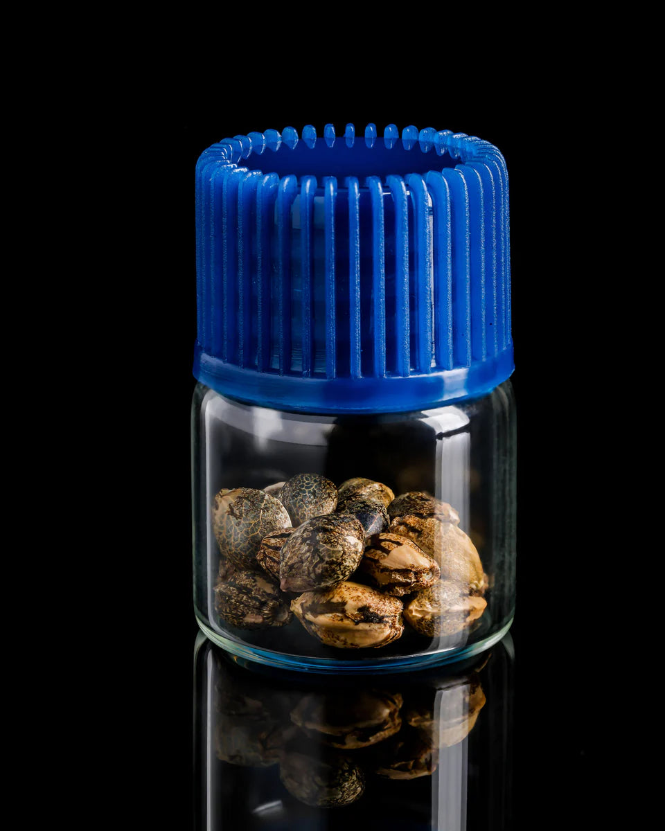Glass jar with blue lid containing rocks on a black background