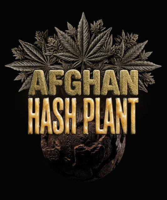 Gold letters over pot plant background