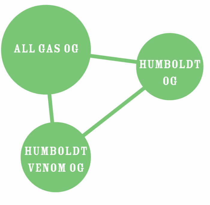 Diagram showing connections between 'All Gas OG', 'Humboldt OG', and 'Humboldt Venom OG' in green circles on a white background.