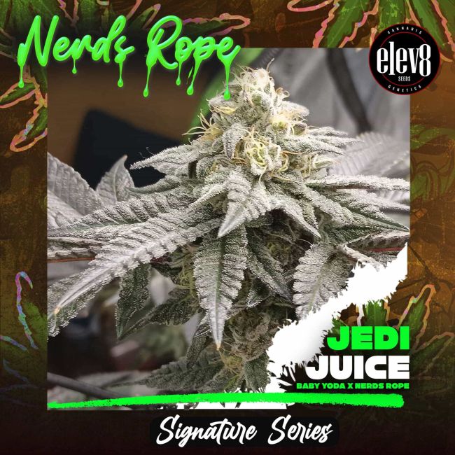 Close-up of a cannabis plant with branding elements including 'Nerds Rope', 'elev8', and 'Jedi Juice'.