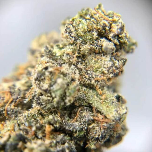 Close-up of a cannabis bud on a white background