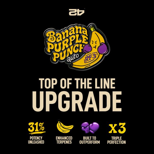 Promotional graphic for 'Banana Purple Punch' with product features on a black background