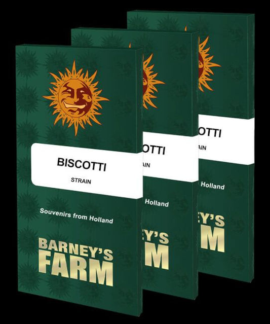Three green packages of Biscotti strain by Barney's Farm on a black background