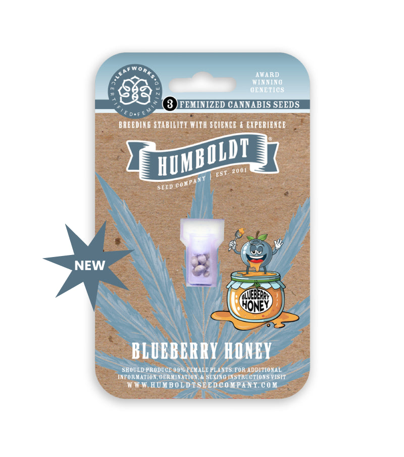 Humboldt Seed Company packaging for Blueberry Honey cannabis seeds on a white background