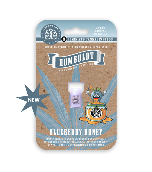 Humboldt Seed Company packaging for Blueberry Honey cannabis seeds on a white background