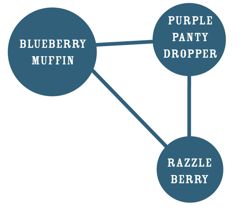 Diagram with three blue circles labeled 'Blueberry Muffin', 'Purple Panty Dropper', and 'Razzle Berry' connected by lines.