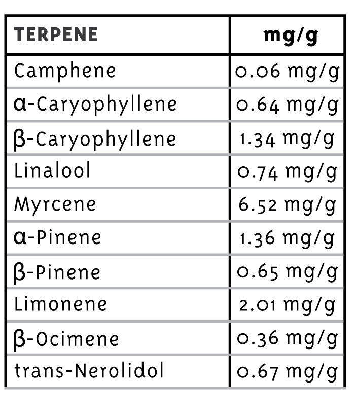 Table of terpenes and their concentrations in mg/g