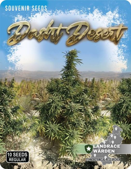 Seeds packaging for 'Dustt Desert' with cannabis plants and scenic background