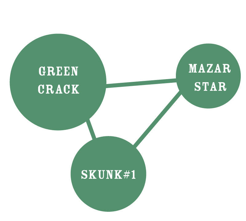 Diagram with three green circles labeled 'Green Crack', 'Mazar Star', and 'Skunk #1' connected by lines.