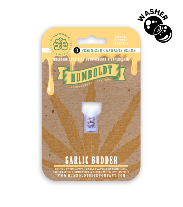 Humboldt Seed Company packaging for Garlic Budder cannabis seeds with a yellow and brown design.