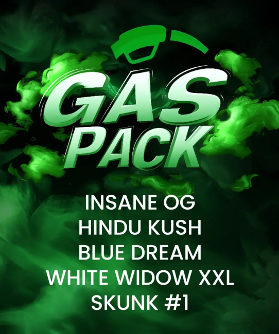 A promotional graphic with the words 'GAS PACK' in large green gradient letters over a smoky green-and-black background, listing product variants: INSANE OG, HINDU KUSH, BLUE DREAM, WHITE WIDOW XXL, and SKUNK #1.