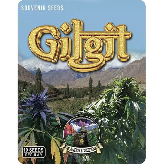 Souvenir Seeds Gilgit packaging with cannabis plants and mountain landscape