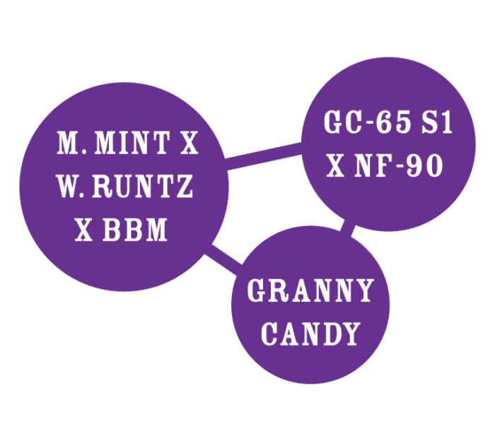Purple circles with text on a white background