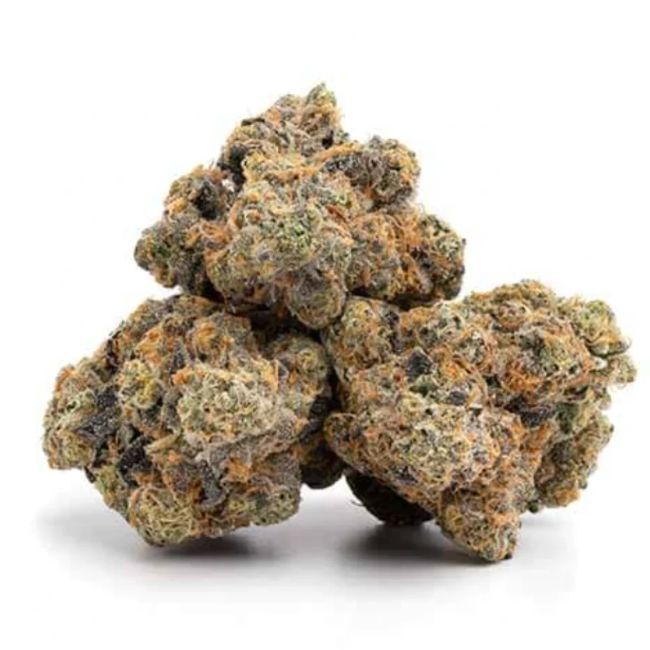 Close-up of dried cannabis buds on a white background