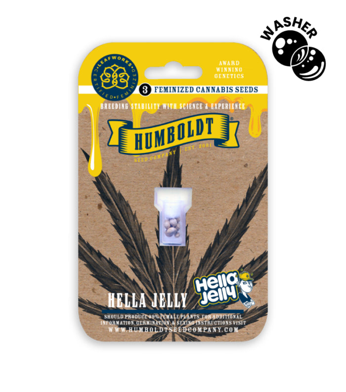 Humboldt brand cannabis seeds packaging with a leaf design on a white background