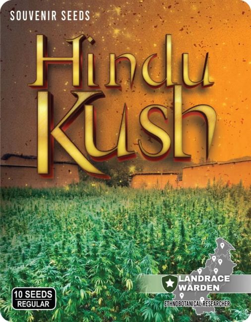 Hindu Kush Regular - Landrace Warden