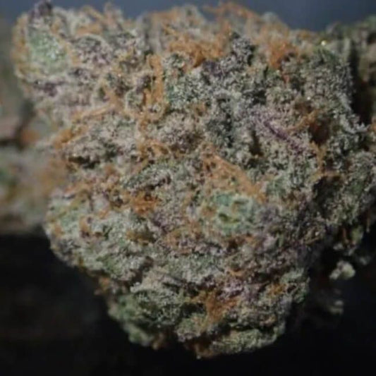 Close-up of a cannabis bud with trichomes on a dark background