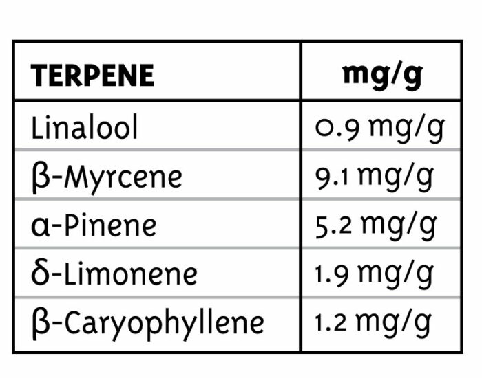 Table showing terpene concentrations in mg/g
