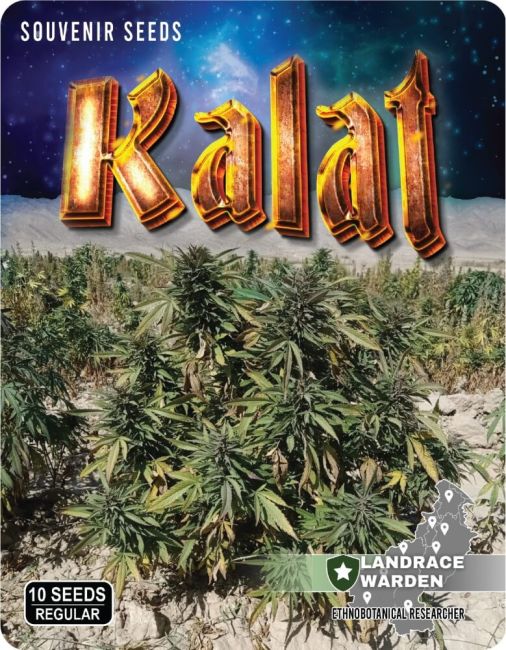Seeds packaging for 'Kalat' with cannabis plants and branding elements.