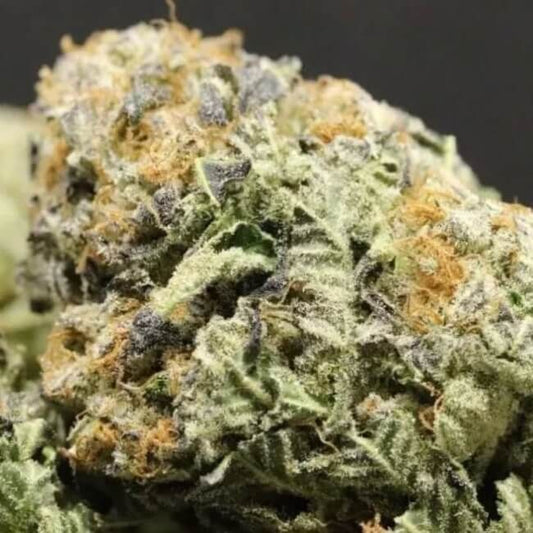 Close-up of a cannabis bud with frosty texture