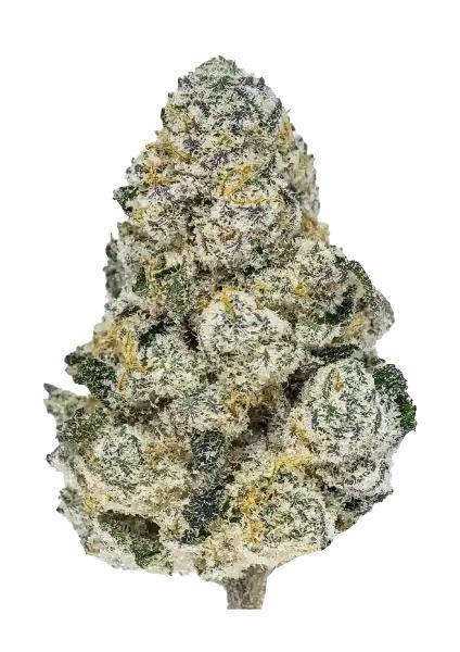 Close-up of a green and gray mineral specimen on a white background