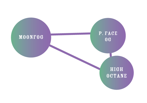 Diagram with three labeled circles connected by lines on a white background
