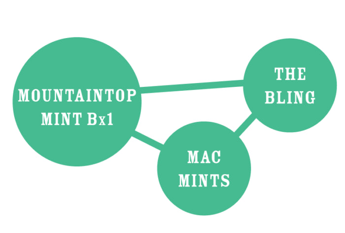 Diagram showing relationships between 'Mountaintop Mint Bx1', 'The Bling', and 'Mac Mints' in green circles on a white background.