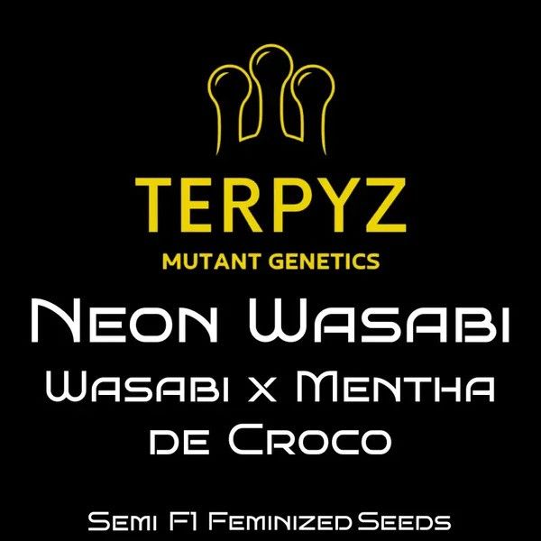TERPYZ Mutant Genetics Neon Wasabi seed package on a black background