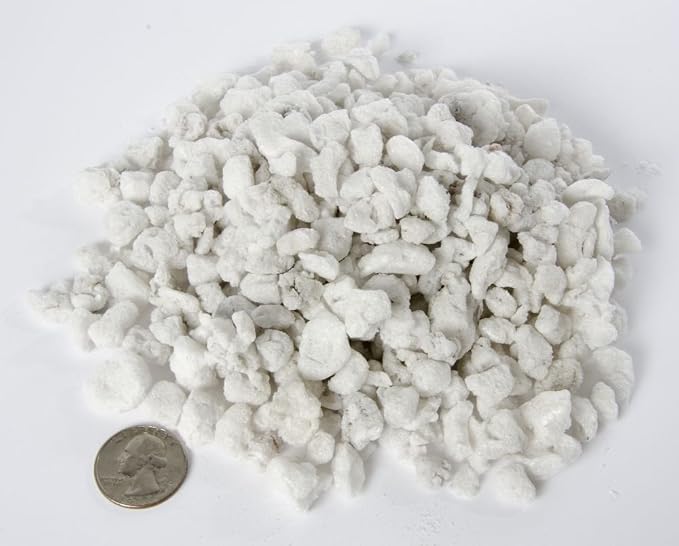White coral-like material with a coin for scale on a white background