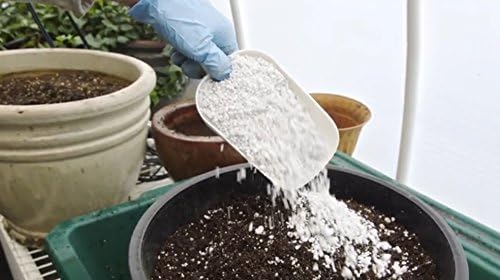 Person pouring a white powdery substance into a pot of soil