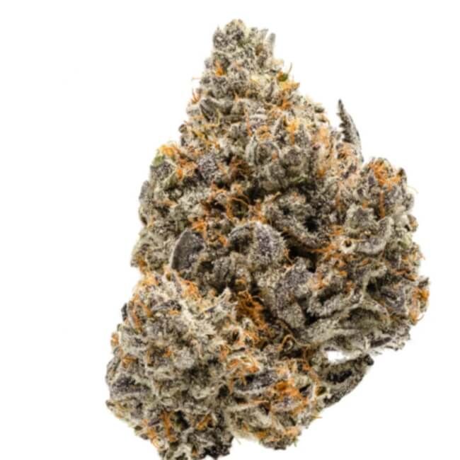 Close-up of a cannabis bud on a white background