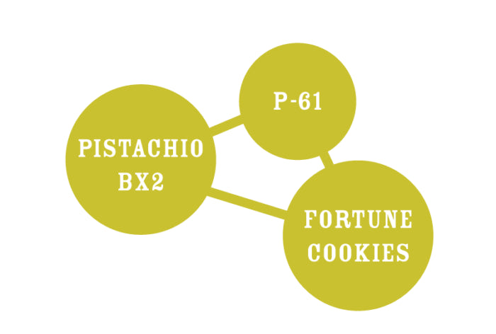 Three green circles labeled 'Pistachio BX2', 'P-61', and 'Fortune Cookies' on a white background.